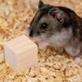 thumbnail image 4 of Juego de juguetes para masticar para hámster, juguetes molares para animales pequeños, accesorios de madera para el cuidado de los dientes, 4 of 7