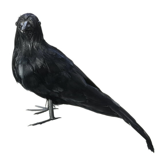 Debout Oiseau Noir Plumes Artificielles pour Halloween Décoration, Fabrication et Affichages de la Nature
