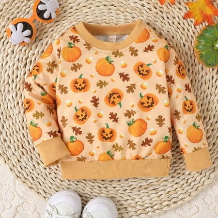 

LILIy Girls Sweatshirt Boys Sweatshirts Girls Sweatshirts Orange 120