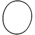 thumbnail image 3 of Pentek 151122.0 O-Ring, 3 of 3