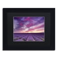 thumbnail image 2 of Trademark Fine Art 'Pink and Purple' Canvas Art by Michael Blanchette Photography, Black Matte, Black Frame, 2 of 4