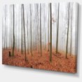 thumbnail image 2 of Fall Forest with Trees at Mist, 2 of 3