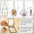 thumbnail image 2 of Marcos colgantes para flores prensadas FOCHIER, 3 unidades, con doble vidrio, 2 of 6