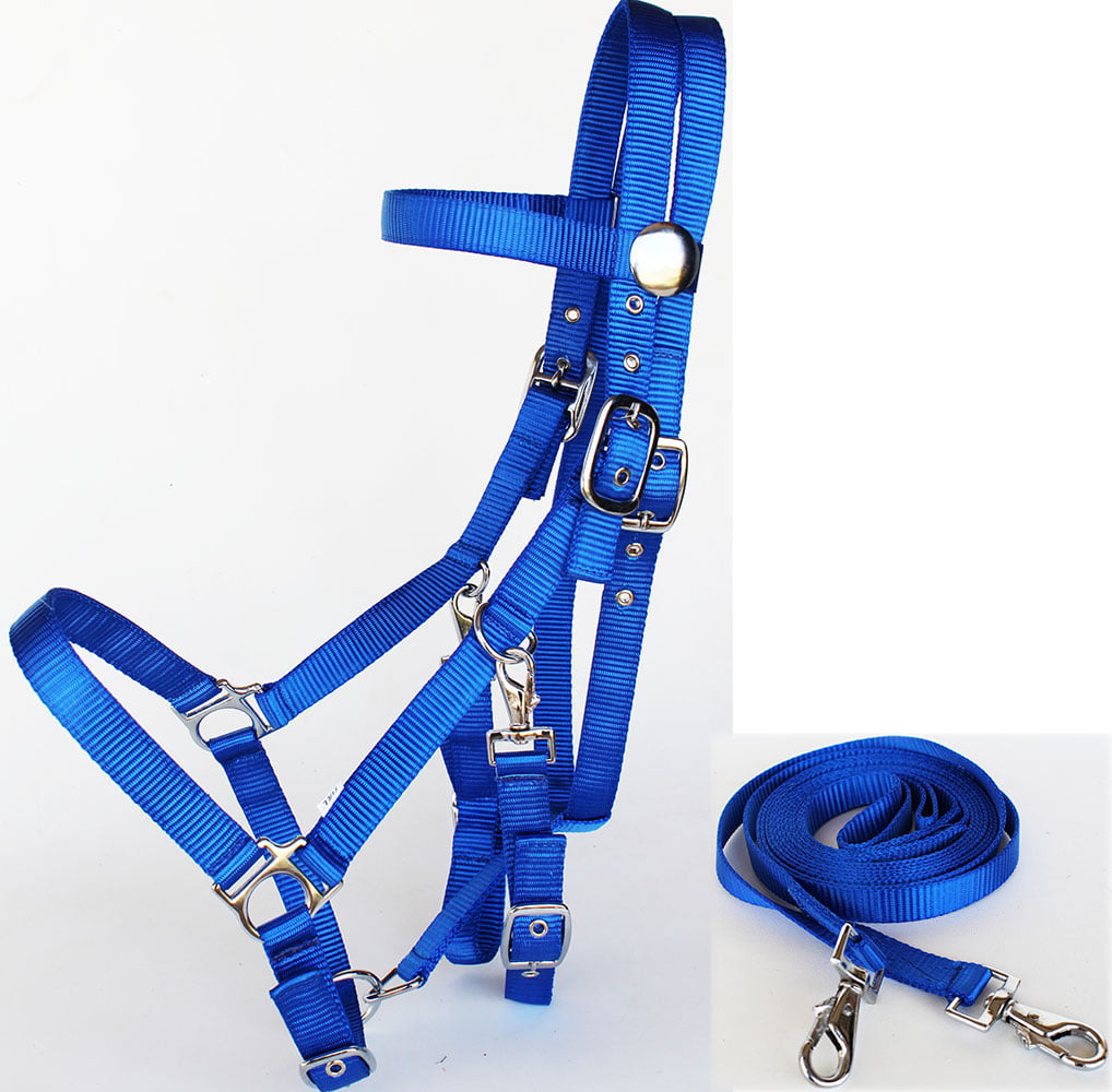 Western combination trail bridle/halter w/reins blue nylon w/leather accents