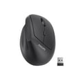 thumbnail image 1 of Ratón PHILIPS Ergonómico Vertical 2,4 GHz Inalámbrico Negro, 1 of 7