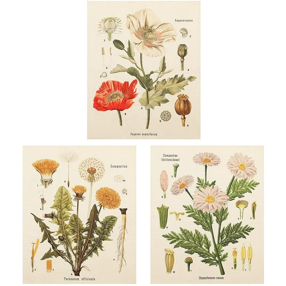 3Pcs Flower Tapestry Wall Hanging - Wildflower Plant Floral Tapestry Identification Reference Chart Small Tapestry For Bedroom Living Room (Tapestry , 16 X 20 In)
