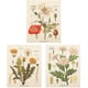 thumbnail image 1 of 3Pcs Flower Tapestry Wall Hanging - Wildflower Plant Floral Tapestry Identification Reference Chart Small Tapestry for Bedroom Living Room (Tapestry , 16 X 20 In) Ormromra CZJJ-ST19, 1 of 6