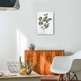 thumbnail image 4 of Botanical Elegance12x16 Framed Sage Green Eucalyptus Canvas Art - Boho Bathroom & Bedroom Decor, 4 of 7
