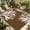 Brown, variant on Coral Brown Outdoor Rug for Patio/Deck/Porch, Non-Slip Large Area Rug 5 x 8 Ft, White Coastal Ocean Marine Nautical Beach Indoor Outdoor Rugs Washable Area Rugs, Reversible Camping Rug Carpet Runner