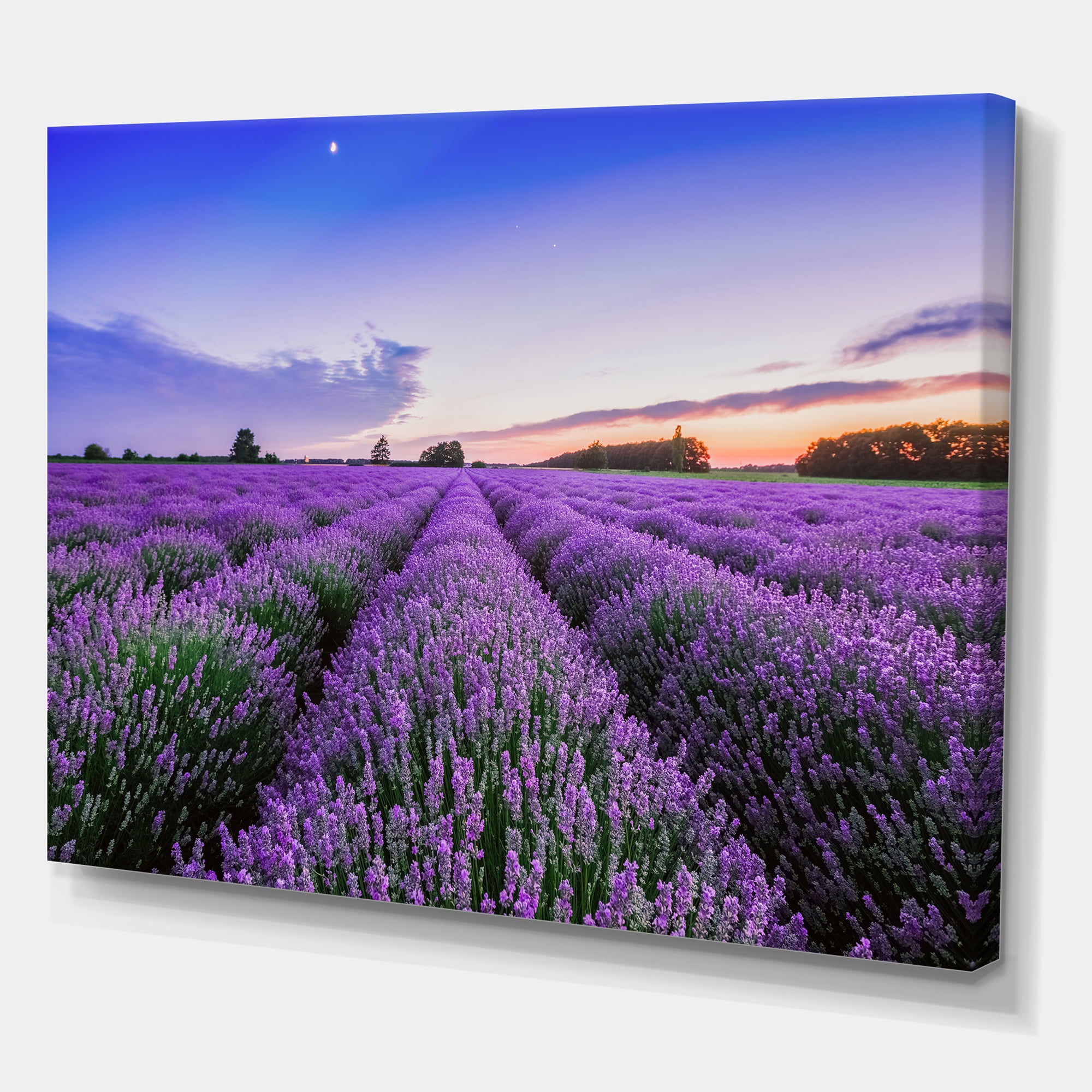 Designart ' Dramatic Clouds and Sunrise Over Lavender Field II ' Farmhouse Canvas Wall Art Print