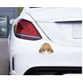 thumbnail image 2 of Peeking Anime Girl with Brown Hair Car Decal Stickers Waterproof, Kawaii Cute Stickers for Car, Truck, SUV, Motocycle, Bike, Decals with Japanese Anime Girl (Brown), 2 of 4