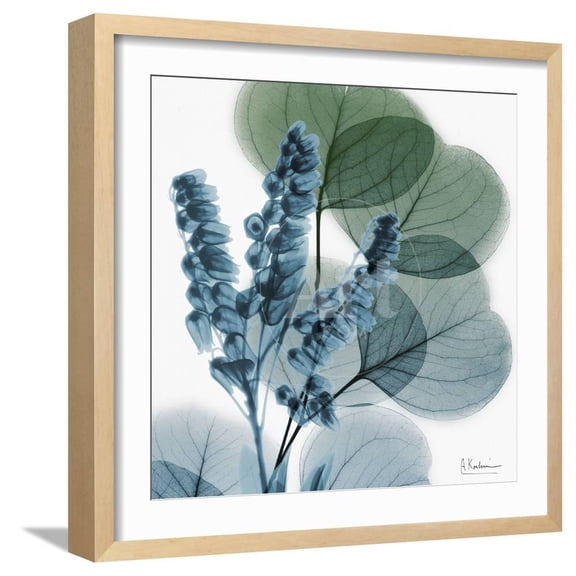 Lilly of Eucalyptus, Botanical Framed Art Print Wall Art by Albert Koetsier Sold by Art.Com