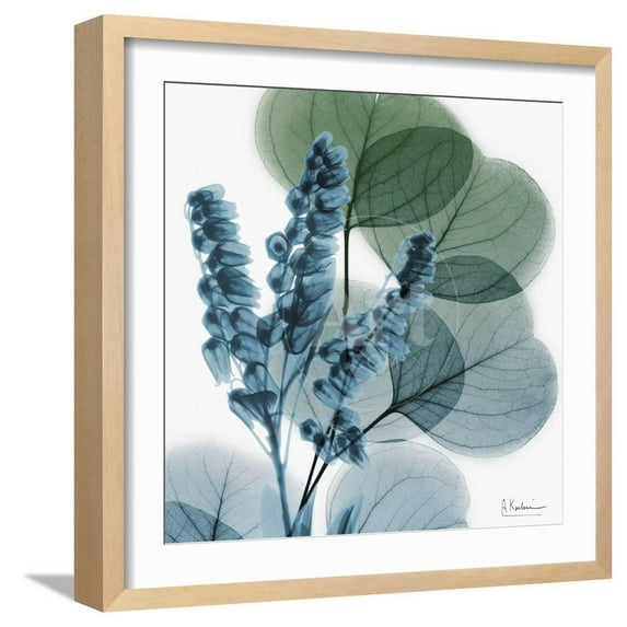 Lilly of Eucalyptus, Botanical Framed Art Print Wall Art by Albert Koetsier Sold by Art.Com
