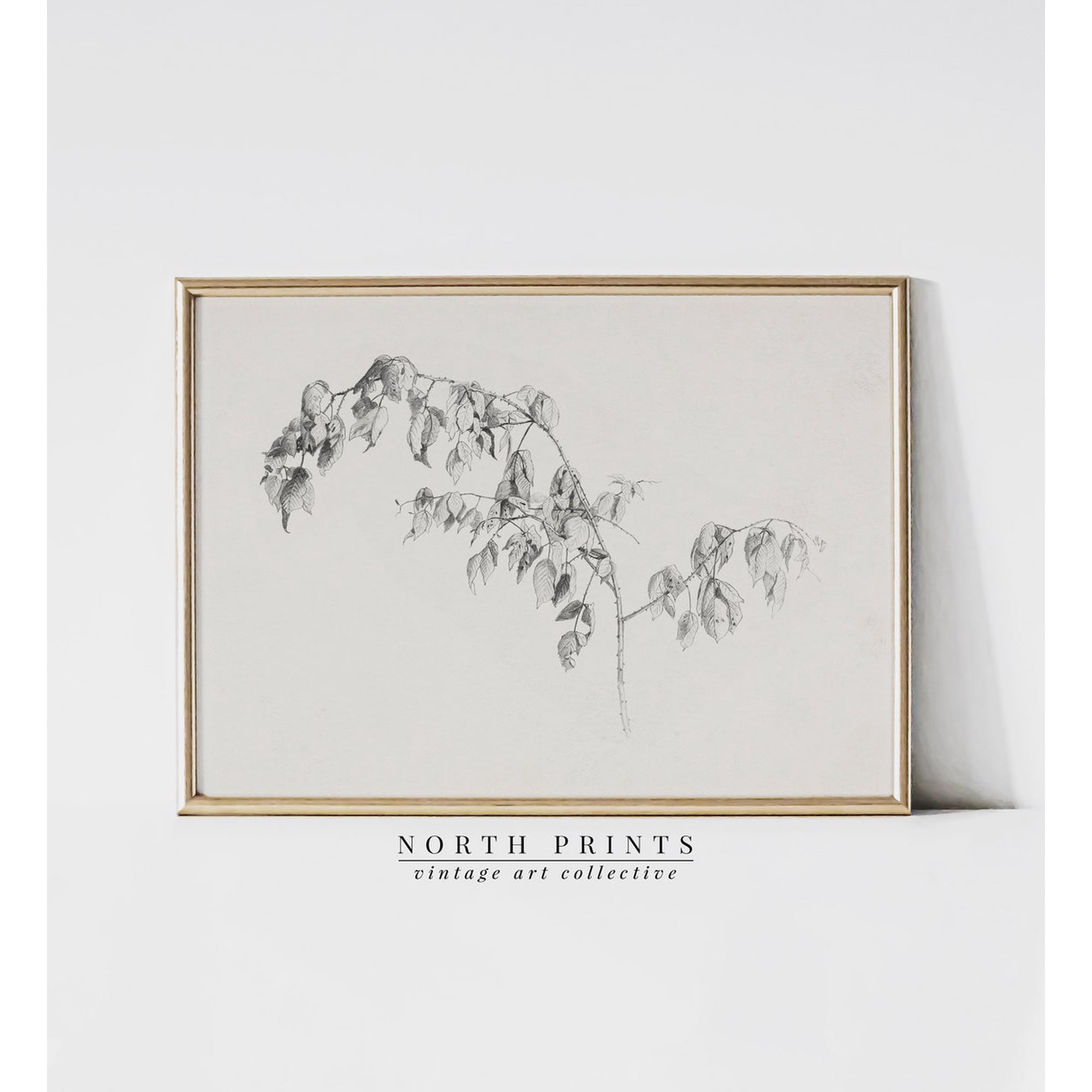 Simple Botanical Sketch Neutral Unframed Paper Print
