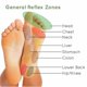 thumbnail image 5 of 10 Uds parche de desintoxicación para pies almohadillas desintoxicantes adhesivo planta Natural toxina Herbal Re, 5 of 5