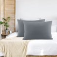 thumbnail image 1 of PiccoCasa Pillowcases 2Pcs, Viscose from Bamboo with Zipper Dark Gray Queen, 1 of 7