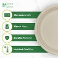 thumbnail image 3 of Plant Plate Everyday Solid Print Disposable Paper Plates, 10 Inch, 150 Count, 3 of 8