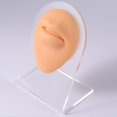 thumbnail image 3 of Modelo de parte del cuerpo Sensaciones suaves prácticas Modelado de silicona Libre de burbujas para rcicios de perforación Herramienta de demostración boca 8cm shamjiam Modelado de partes del cuerpo humano, 3 of 5