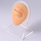thumbnail image 3 of 2x Modelo de parte del cuerpo Suave Sentimientos Modelado de silicona frágil para shamjiam Modelado de partes del cuerpo humano, 3 of 9