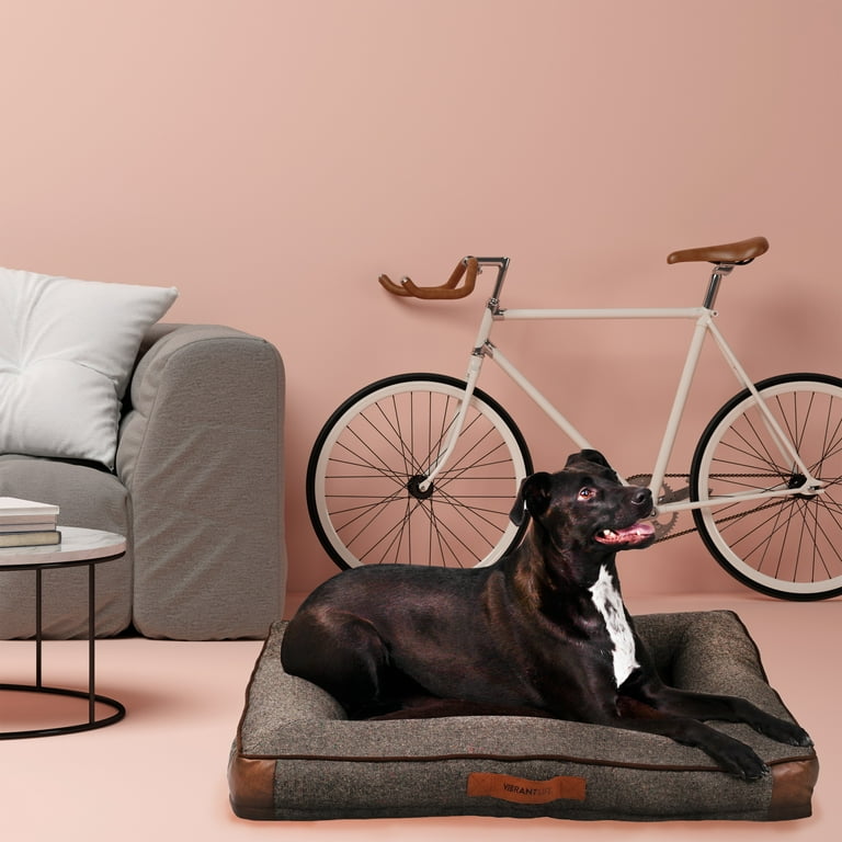Vibrant life top orthopedic couch