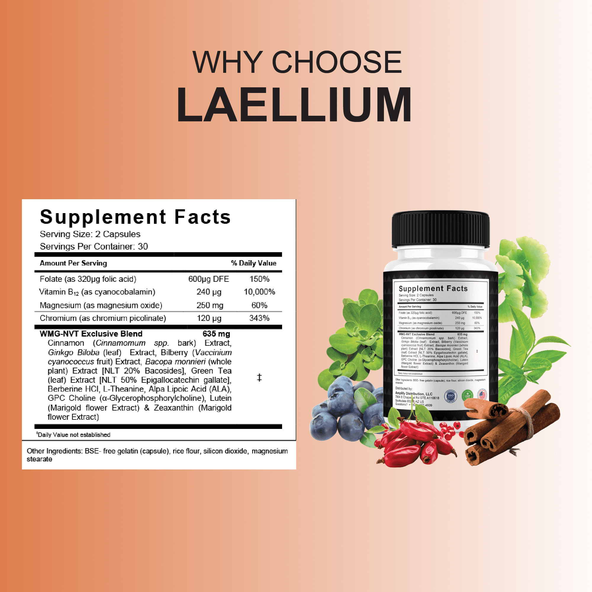 (2 Pack) Laellium Advanced Weight Management Support Pills, Laellium Maximum Strength Daily Multivitamin Formula (120 Capsules)