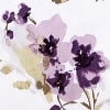 8952 Madison Purple