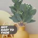 thumbnail image 1 of BESTYASH 10Ud Tall Eucalyptus Stems Artificiaales Decorativos Para Bodas Y Eventos Especiales, 1 of 7