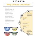 thumbnail image 3 of silesia Handmade 3 oz Ramekins, Ceramic Creme Brulee Pudding Cups Set of 4 - Hand Painted Small Sauce Bowl for Kitchen in Gift Box, Microwave & Dishwasher Safe, 3.5 inch, Assorted Flowers, 3 of 8
