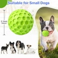 thumbnail image 2 of Pelota chirriante indestructible DISSONIC de juguete para perros pequeños, 2 of 5