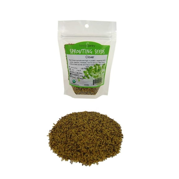 Certified Organic Red Clover Sprouting Seeds - (4 Oz) - Handy Pantry Brand: Red Sweet Clover Seed for Sprouting, Gardening, Salad Greens, Hydroponics, Edible Seed, Food Storage & More