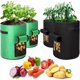 thumbnail image 1 of Bolsa de plantación de geotextil, 4 bolsas para plantar papas (2 piezas de 10 galones, 2 piezas de 7 galones), maceta para papas con ventana, para plantar papas, tomates, 1 of 1