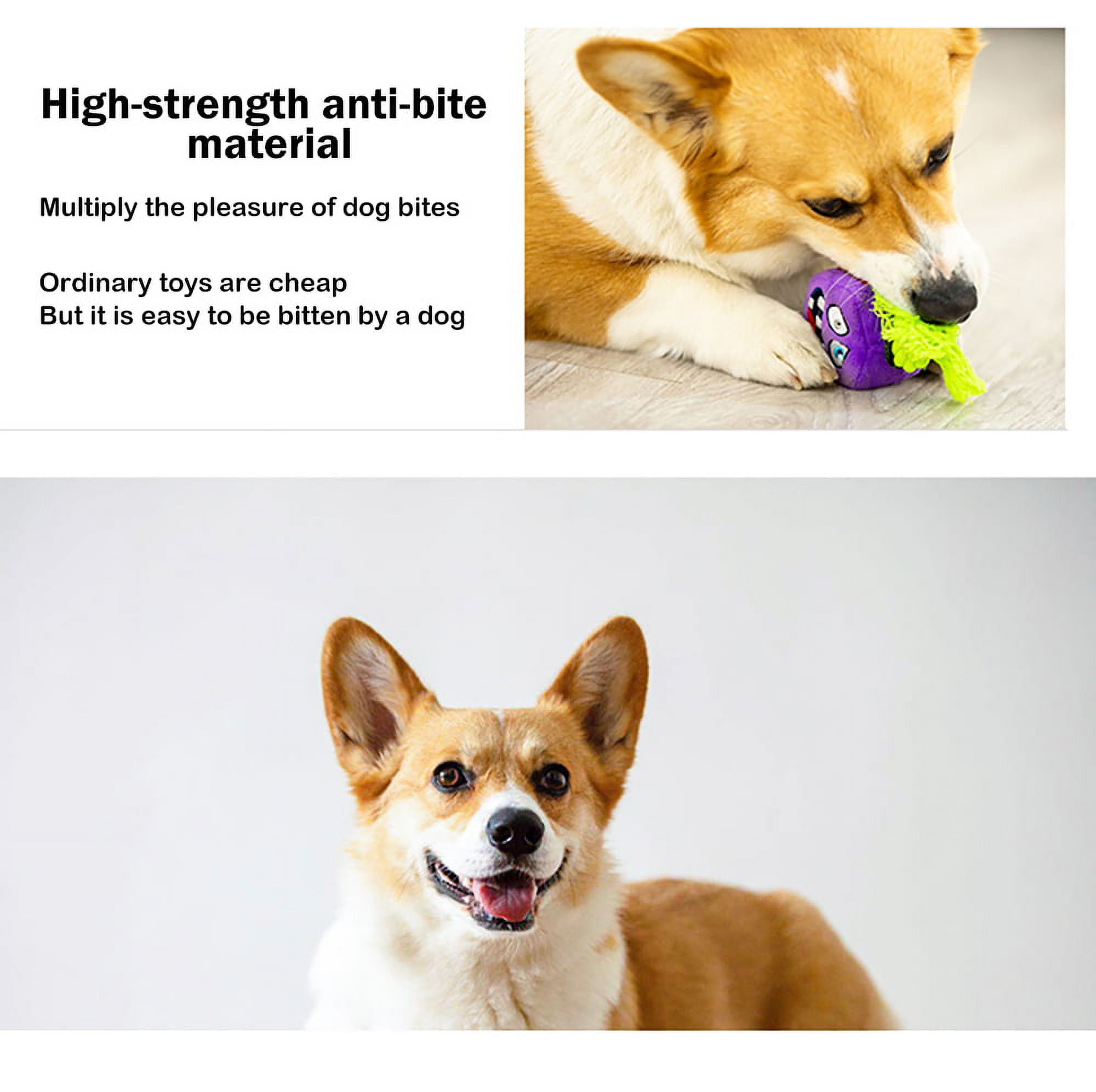 GIGWI Pet Toys G-Ball Toys S / M / L Series Transparent Interactive Dog Ball Toy for Dogs Bite Resistance Elasticity Dog Toy