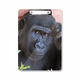 thumbnail image 1 of Animales salvajes terrestres organismo chimpancé Portapapeles Carpeta de escritura Placa de soporte A4, 1 of 4