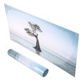 thumbnail image 4 of Aquarium Background Poster, Reusable Tree in The Sea Style Beautiful Display Vivid Fish  Background Poster  for  61x41cm / 24x16.1in, 4 of 8