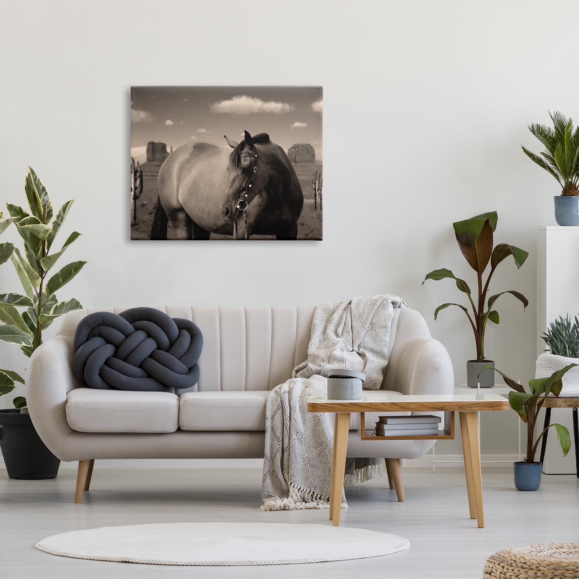 Stupell Industries Desert Horse Photography Animals & Insects Photography Gallery Wrapped Canvas Art Print Wall Art, 40 x 30