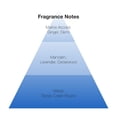 thumbnail image 2 of Perfume IZOD Legacy Blue EDT 100 ml para hombre, 2 of 5