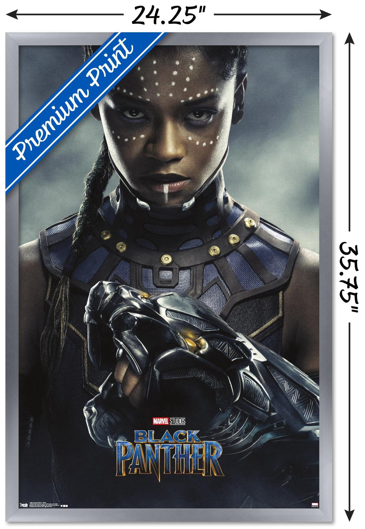 Marvel Cinematic Universe - Black Panther - Shuri One Sheet Wall Poster, 22.375" x 34", Framed