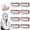 Brown, variant on 8 Pack Clips with Safety Pins, Strong Chunni Grip Dupatta Setting Clips Indian for Woman Black