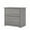 Modern Gray, variant on Bowery Hill 2 Drawer Lateral File Cabinet in Ash Gray - Engineered Wood