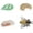 Bee Cycle, variant on 4PC Insect Figurines Life Cycle of Rooster, Ant, Bee, Butterfly, Ladybug, Cicadam, Plant|Plastic Bugs for Safariology Animal Figures, Preschool Science Educational Toy (Plant Cycle)