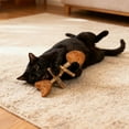thumbnail image 3 of SharkTRUE Creative Fish Bone Cat Toy, Natural Fishbone Cats Dentals Toy, Catnip Teeth Cleaning Stick, Pets Cat Chew Stick Toys, for Cats Teeth Cleaning, 3 of 8
