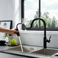 thumbnail image 5 of Oribe Single-Handle Kitchen Faucet with Pull Down Sprayer in Matte Black, 5 of 16