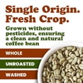 thumbnail image 5 of Organic Peru Green Coffee Beans, 1.5 Pounds – Whole, Unroasted, Washed Bean. Single Origin. Fresh Crop. No-GMO, Vegan, Bulk – by Food to Live, 5 of 7