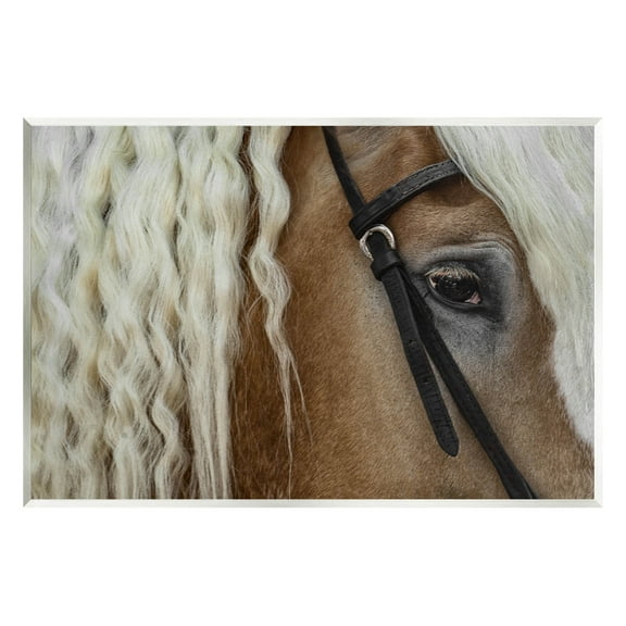 Stupell Industries Blonde Palomino Horse Portrait Photograph Unframed Art Print Wall Art, Design by David Lorenz