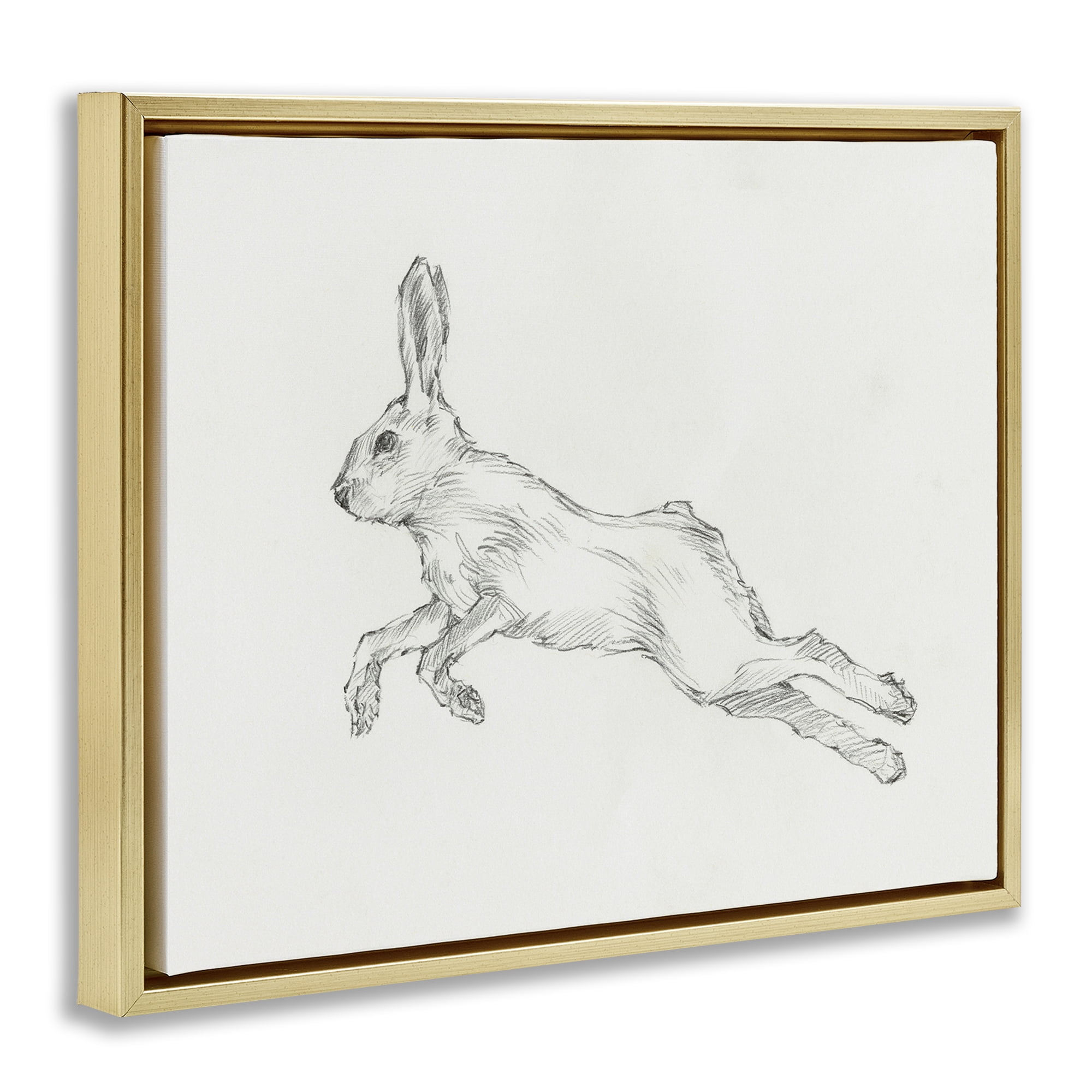 Stupell Industries Rabbit Hopping Sketch Animals & Insects Drawing Gold Floater Framed Canvas Art Print Wall Art, 31 x 25