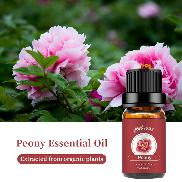 Yethious Peony Essential Oil 100% Pure, Undiluted, Natural, Aromatherapy  10ml 