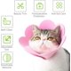 thumbnail image 3 of Collar ajustable antimordeduras con forma de girasol para curar heridas después de una cirugía para gatitos (rosa), 3 of 5