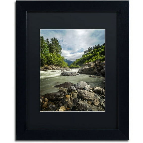 Trademark Fine Art "Waterland" Canvas Art by Philippe Sainte-Laudy, Black Matte, Black Frame