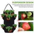thumbnail image 2 of 2pcs Tissu Non Tissé Fraise Grandir Sac Extérieur Suspendu Fraise Planteur Sac, 2 of 7