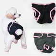 thumbnail image 2 of Pantalones de perro mascota calor de perra en pañal sanitario menstrual XS-XL Zulema Pañal de perro, 2 of 8